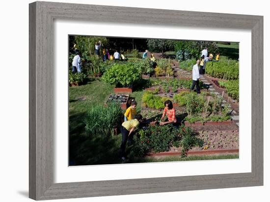 Fall Harvest of the White House Kitchen Garden,  Michelle Obama, White House Chefs and Children-null-Framed Premium Photographic Print