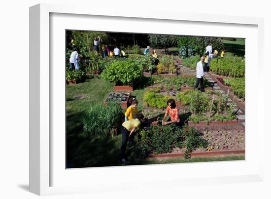 Fall Harvest of the White House Kitchen Garden,  Michelle Obama, White House Chefs and Children-null-Framed Premium Photographic Print