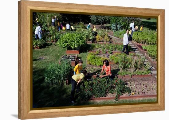 Fall Harvest of the White House Kitchen Garden,  Michelle Obama, White House Chefs and Children-null-Framed Stretched Canvas