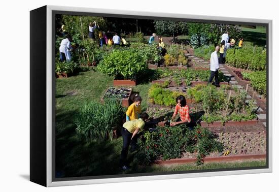 Fall Harvest of the White House Kitchen Garden,  Michelle Obama, White House Chefs and Children-null-Framed Stretched Canvas