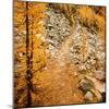 Fall Hike-Ursula Abresch-Mounted Photographic Print