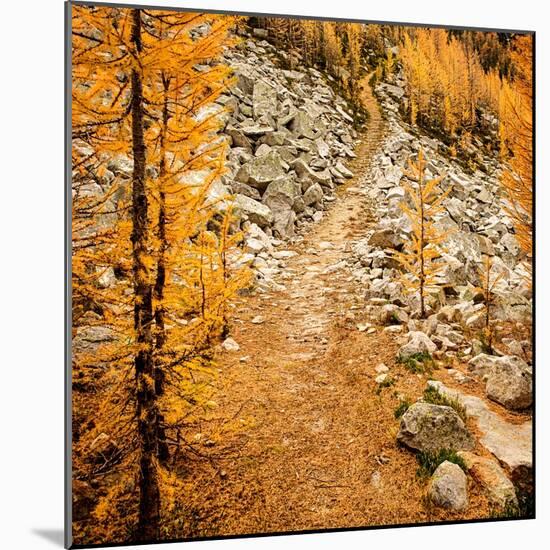 Fall Hike-Ursula Abresch-Mounted Photographic Print