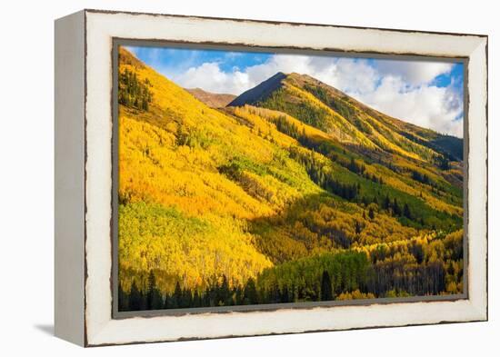 Fall Hills of Colorado-duallogic-Framed Premier Image Canvas