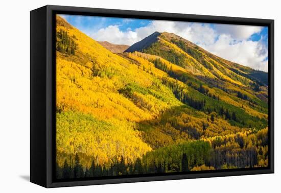 Fall Hills of Colorado-duallogic-Framed Premier Image Canvas