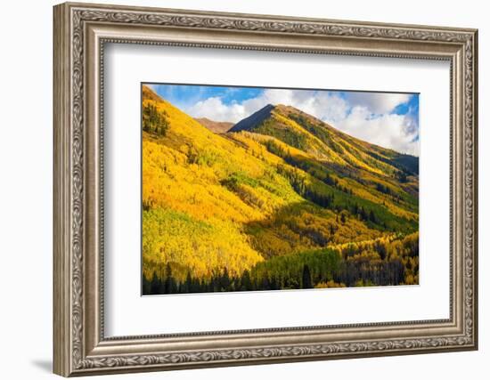 Fall Hills of Colorado-duallogic-Framed Photographic Print