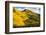 Fall Hills of Colorado-duallogic-Framed Photographic Print