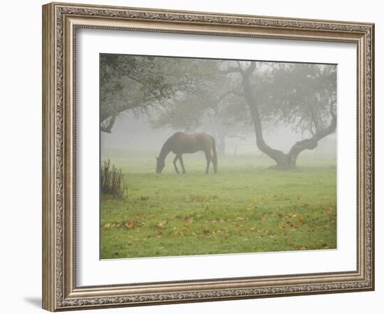 Fall Images Plus-Nance Trueworthy-Framed Photographic Print