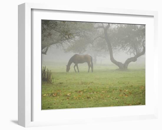 Fall Images Plus-Nance Trueworthy-Framed Photographic Print