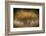 Fall Impression-Ursula Abresch-Framed Photographic Print