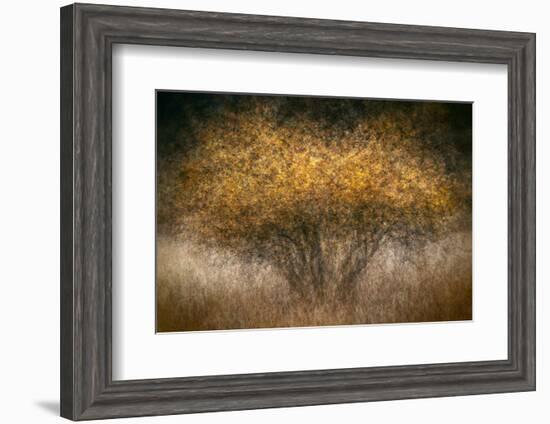 Fall Impression-Ursula Abresch-Framed Photographic Print