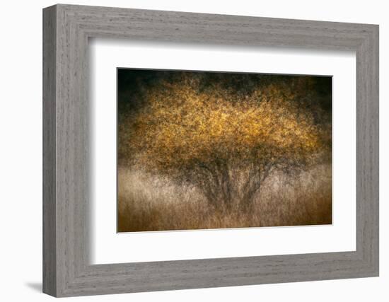 Fall Impression-Ursula Abresch-Framed Photographic Print