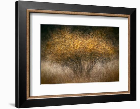 Fall Impression-Ursula Abresch-Framed Photographic Print