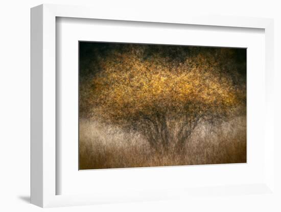 Fall Impression-Ursula Abresch-Framed Photographic Print