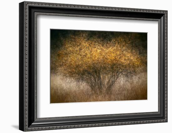 Fall Impression-Ursula Abresch-Framed Photographic Print