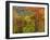 Fall in a Forest in Grafton, New Hampshire, USA-Jerry & Marcy Monkman-Framed Photographic Print