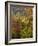 Fall in a Forest in Grafton, New Hampshire, USA-Jerry & Marcy Monkman-Framed Photographic Print