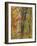 Fall in a Mixed Deciduous Forest in Litchfield Hills, Kent, Connecticut, USA-Jerry & Marcy Monkman-Framed Photographic Print