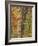 Fall in a Mixed Deciduous Forest in Litchfield Hills, Kent, Connecticut, USA-Jerry & Marcy Monkman-Framed Photographic Print