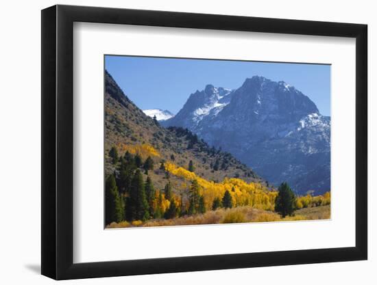 Fall in Eastern California-John Alves-Framed Photographic Print