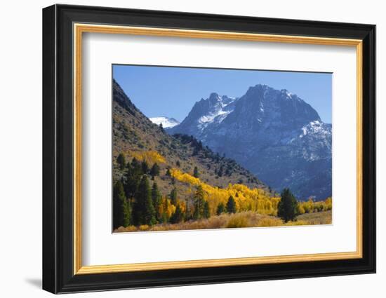 Fall in Eastern California-John Alves-Framed Photographic Print