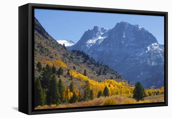 Fall in Eastern California-John Alves-Framed Premier Image Canvas