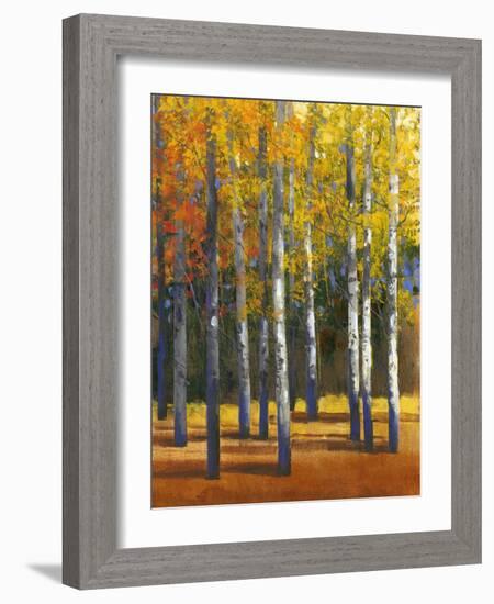 Fall in Glory I-Tim O'toole-Framed Art Print