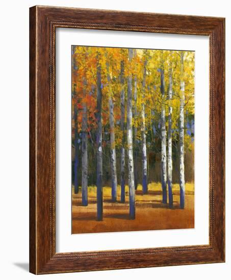 Fall in Glory I-Tim O'toole-Framed Art Print