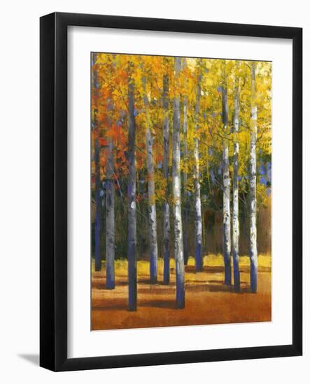 Fall in Glory I-Tim O'toole-Framed Art Print