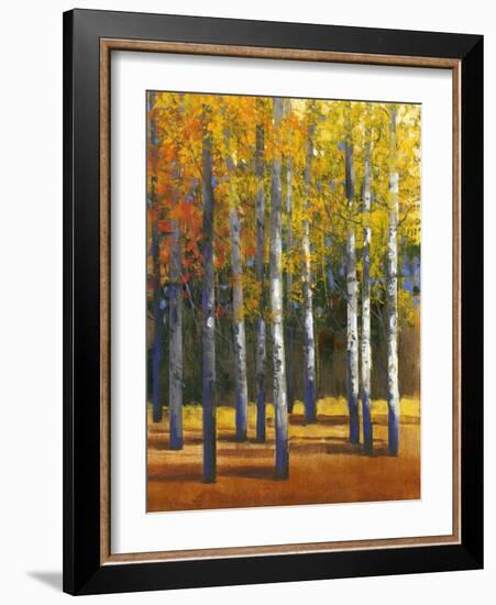 Fall in Glory I-Tim O'toole-Framed Art Print