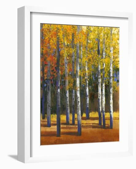 Fall in Glory I-Tim O'toole-Framed Art Print