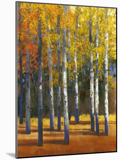 Fall in Glory I-Tim O'toole-Mounted Art Print