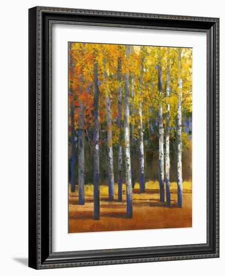 Fall in Glory I-Tim O'toole-Framed Art Print