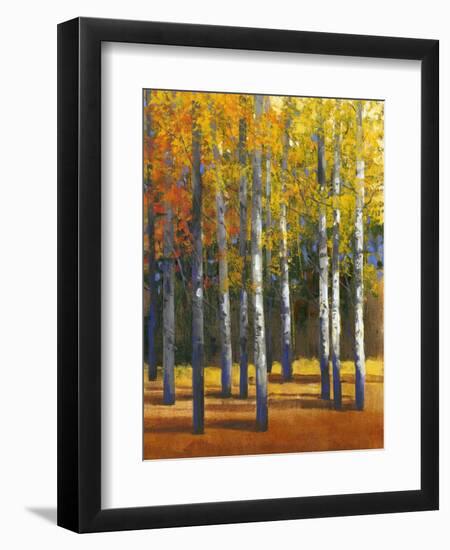 Fall in Glory I-Tim O'toole-Framed Art Print