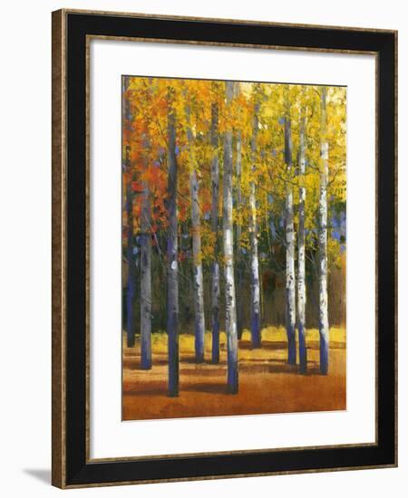 Fall in Glory I-Tim O'toole-Framed Art Print