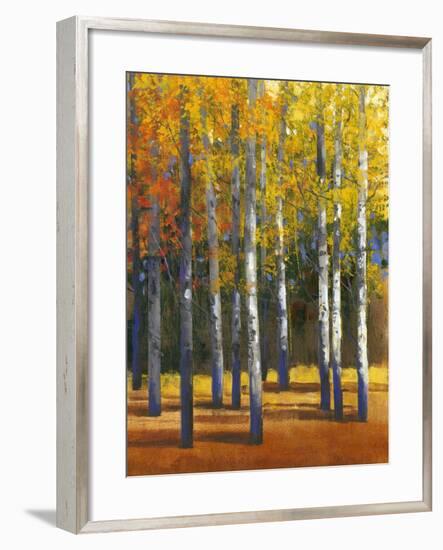 Fall in Glory I-Tim O'toole-Framed Art Print