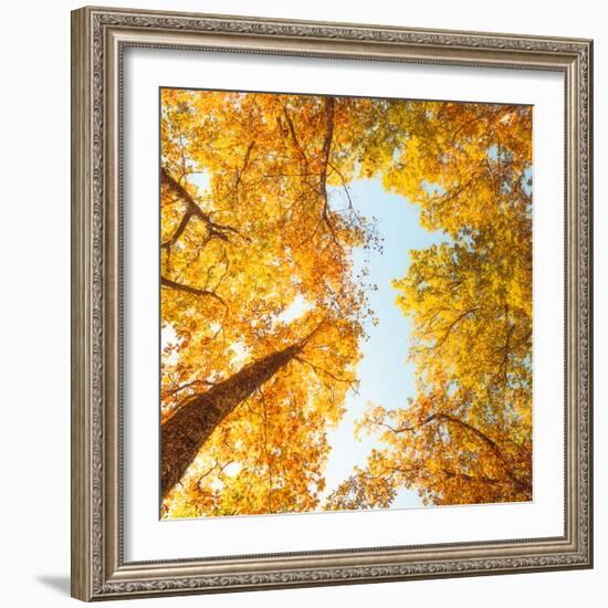 Fall in Height-Philippe Sainte-Laudy-Framed Photographic Print