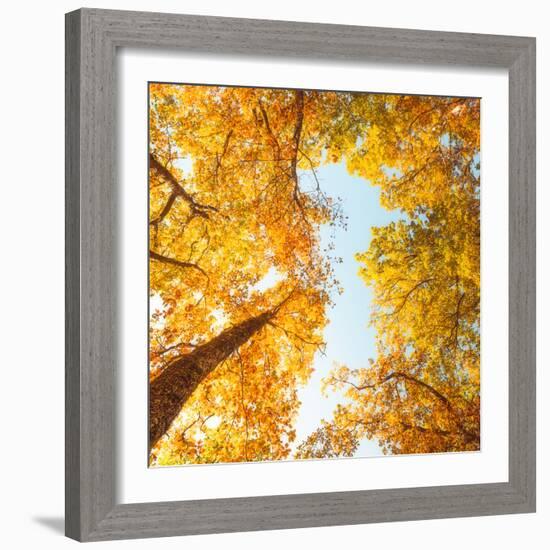 Fall in Height-Philippe Sainte-Laudy-Framed Photographic Print