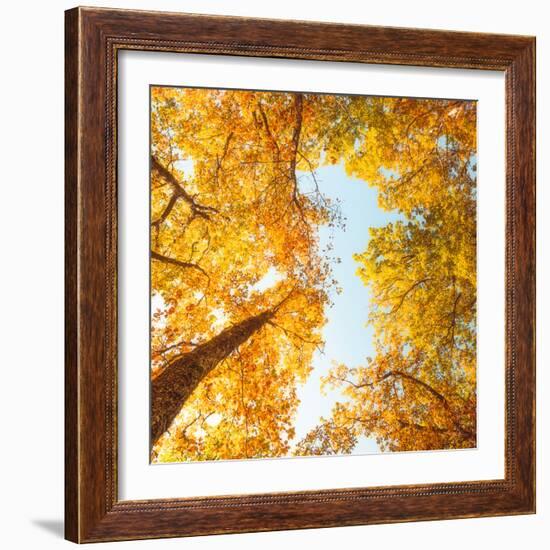 Fall in Height-Philippe Sainte-Laudy-Framed Photographic Print