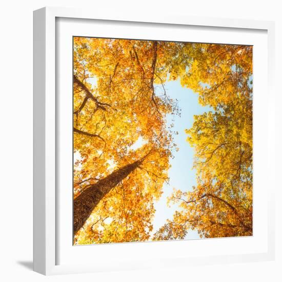 Fall in Height-Philippe Sainte-Laudy-Framed Photographic Print