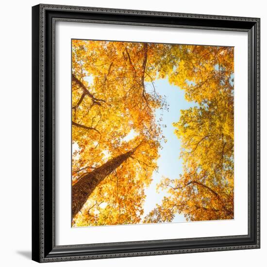 Fall in Height-Philippe Sainte-Laudy-Framed Photographic Print