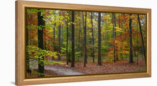 Fall in McCormics Creek State Park, Indiana, USA-Anna Miller-Framed Premier Image Canvas