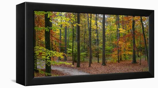 Fall in McCormics Creek State Park, Indiana, USA-Anna Miller-Framed Premier Image Canvas