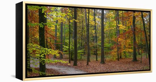 Fall in McCormics Creek State Park, Indiana, USA-Anna Miller-Framed Premier Image Canvas