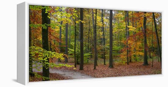 Fall in McCormics Creek State Park, Indiana, USA-Anna Miller-Framed Premier Image Canvas