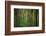 Fall in McCormics Creek State Park, Indiana, USA-Anna Miller-Framed Photographic Print