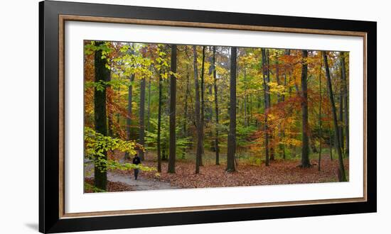 Fall in McCormics Creek State Park, Indiana, USA-Anna Miller-Framed Photographic Print