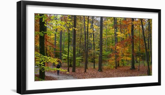 Fall in McCormics Creek State Park, Indiana, USA-Anna Miller-Framed Photographic Print