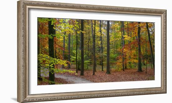 Fall in McCormics Creek State Park, Indiana, USA-Anna Miller-Framed Photographic Print