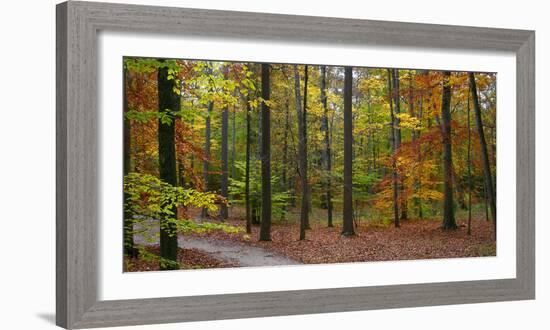 Fall in McCormics Creek State Park, Indiana, USA-Anna Miller-Framed Photographic Print