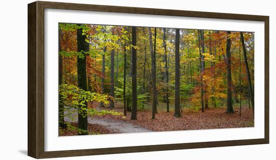 Fall in McCormics Creek State Park, Indiana, USA-Anna Miller-Framed Photographic Print